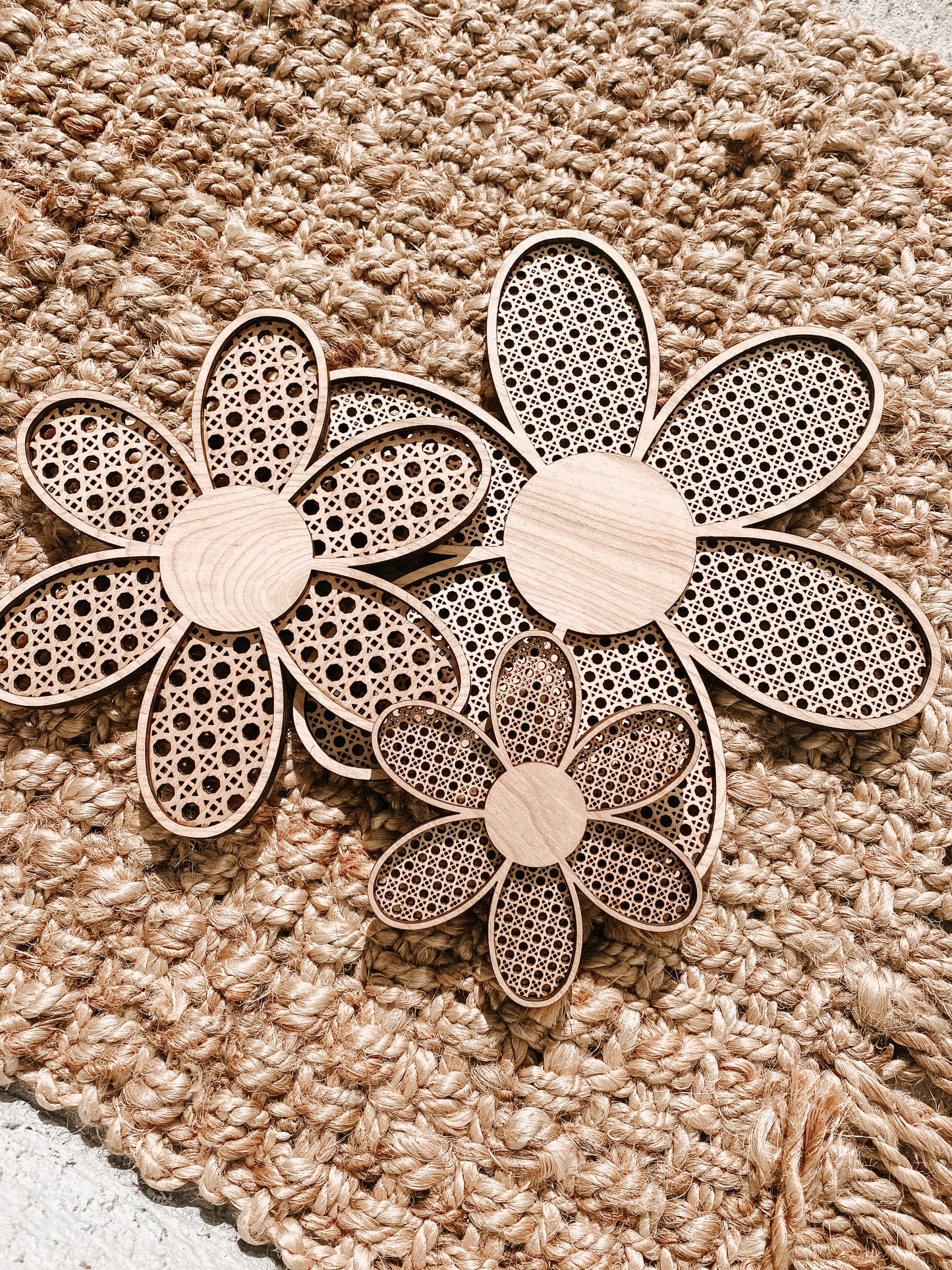 Rattan Style Daisy Flowers - Floral Wall Home Decor