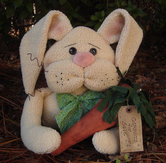 #204 Peter Rabbit Bunny E Pattern